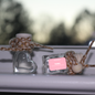 Heart Shaped Car Diffusers | Vehicle Air Fresheners 