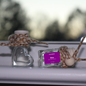 Heart Shaped Car Diffusers | Vehicle Air Fresheners 